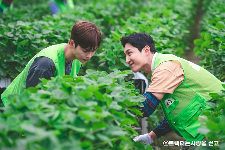 트랙터는 사랑을 싣고, 첫사랑 드라마, 비엘 드라마, bl 장르, 첫사랑 드라마 추천, BL 드라마