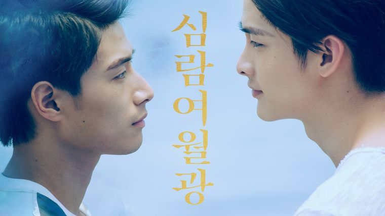 심람여월광, 중국 드라마, 중국 드라마 추천, 중국 bl 드라마, 중드, BL 드라마