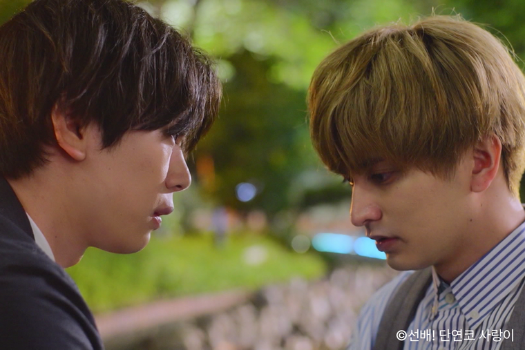 선배 단연코 사랑이, 리맨물, 리맨물 추천, 벨드 추천, 회사 로맨스, bl 드라마