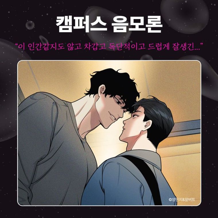 캠퍼스 음모론, bl 웹툰, 헤븐리, 19금 웹툰, bl 추천, 웹툰 추천