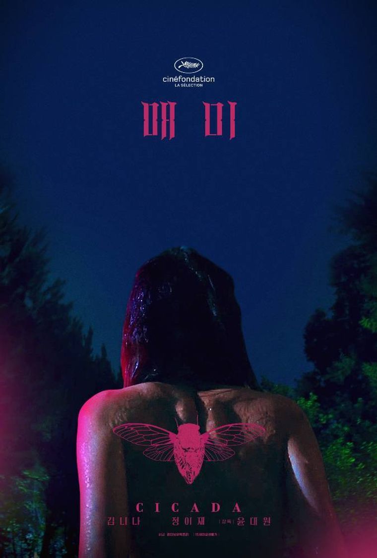 매미, LGBTQ, BL 뜻, GL 뜻, 바이 뜻, 퀴어 